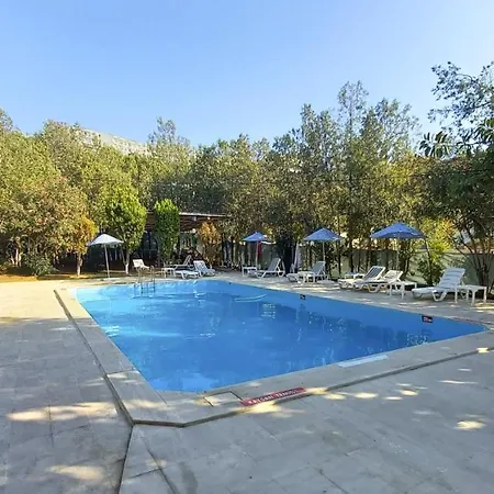 Tropicana Hotel